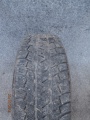 SZ0334 (2)